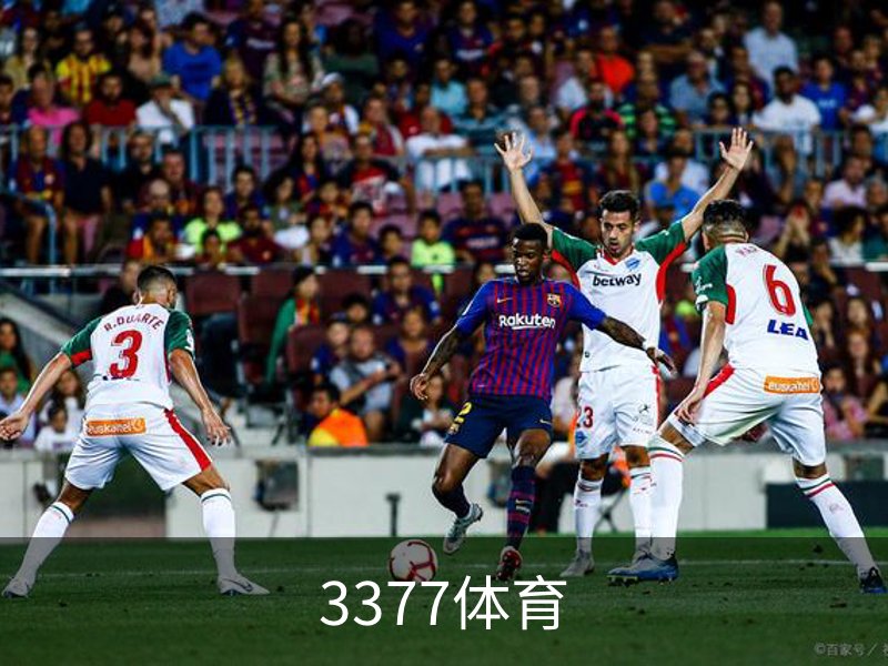 了解3377体育